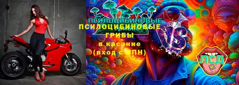 Галлюциногенные грибы Cubensis  Углегорск 